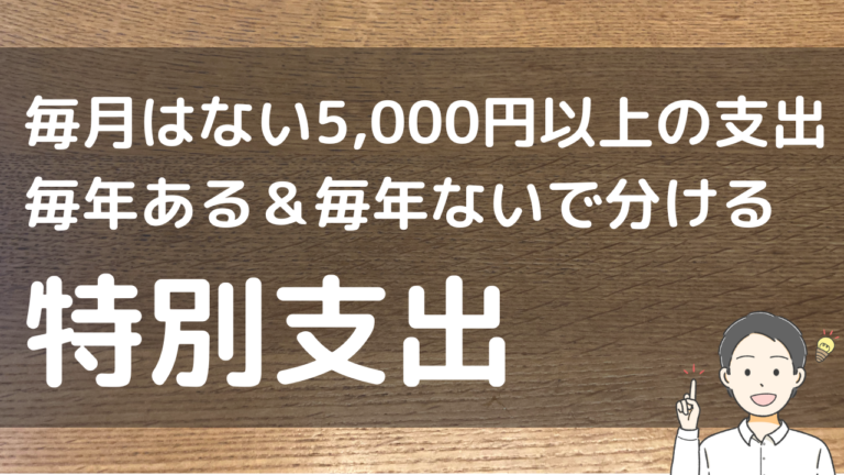 毎月はない5,000円以上の支出 毎年ある＆毎年ないで分ける 特別支出